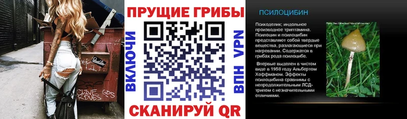 Галлюциногенные грибы Psilocybe Октябрьский