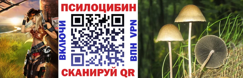 Галлюциногенные грибы Magic Shrooms  дарк нет наркотические препараты  Октябрьский  цены  