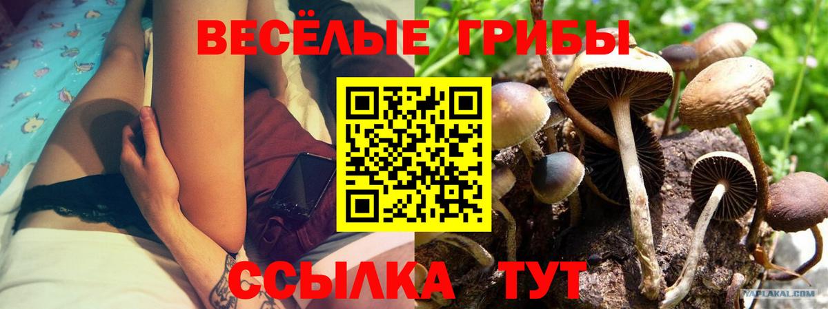 Октябрьский  Псилоцибиновые грибы GOLDEN TEACHER  Вход с VPN 
